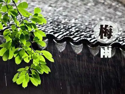 梅雨季節的形成原因