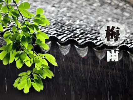 梅雨季節，注意防潮防黴！